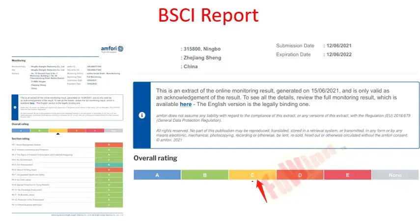 bsci report